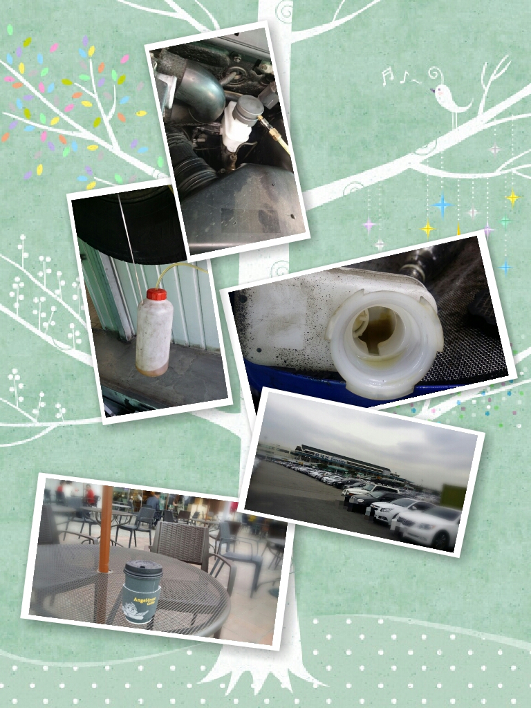 이미지를 클릭하세요