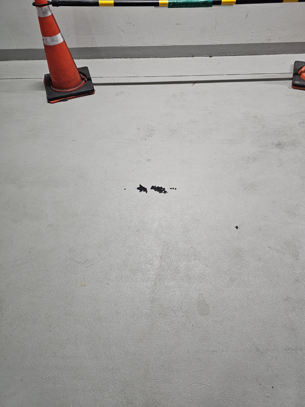 이미지를 클릭하세요