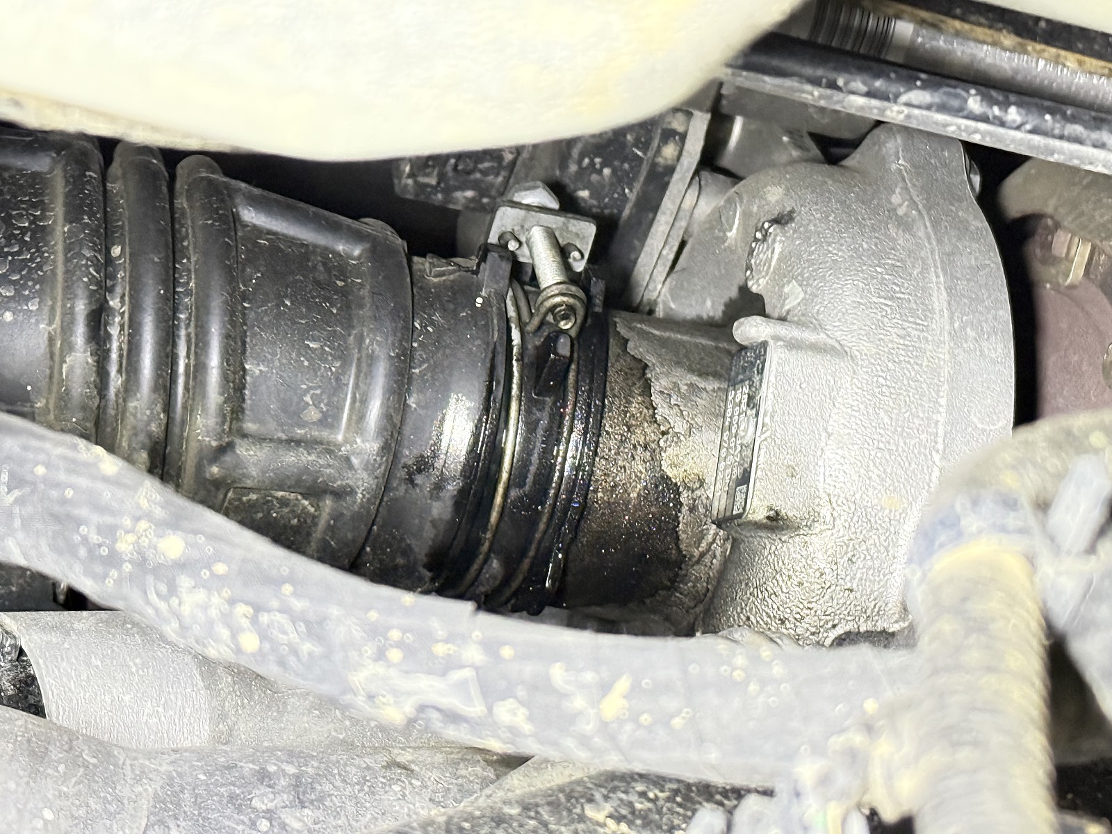 이미지를 클릭하세요