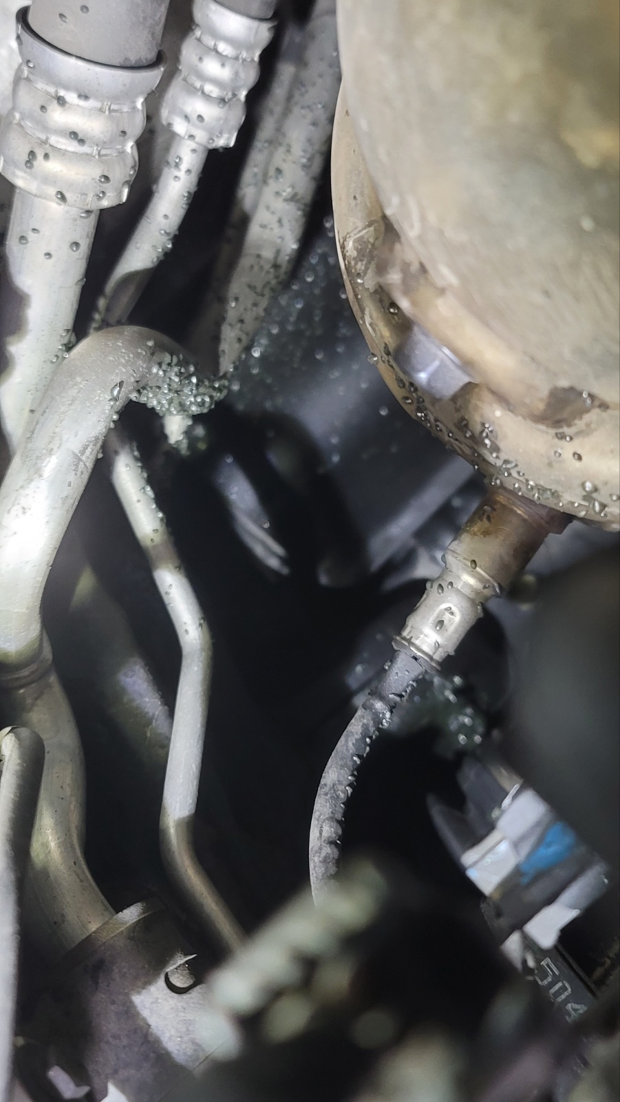 이미지를 클릭하세요