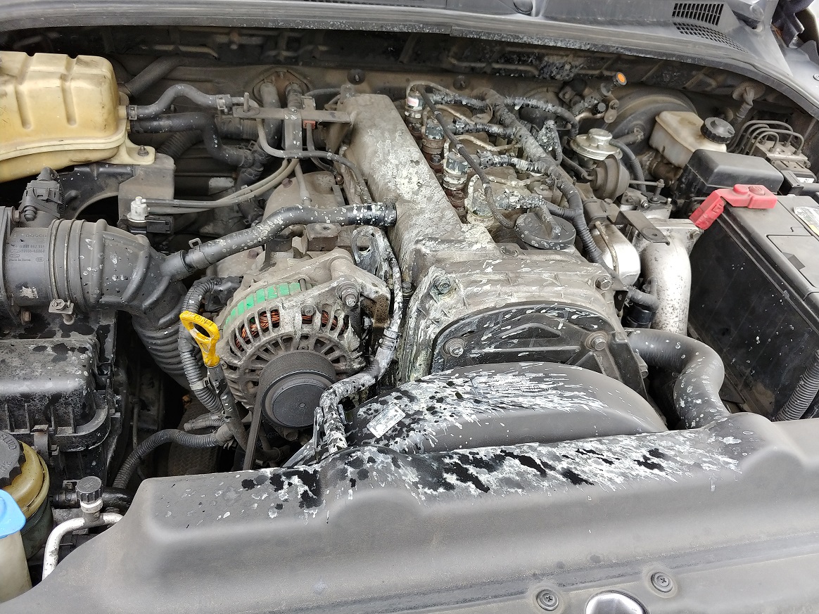 이미지를 클릭하세요