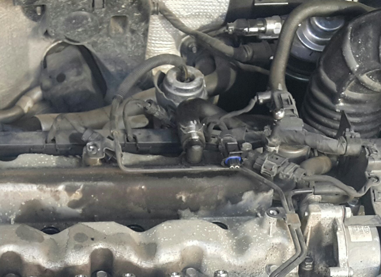 이미지를 클릭하세요