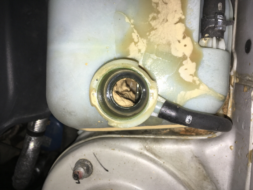 이미지를 클릭하세요