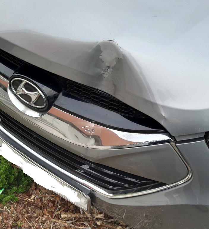 이미지를 클릭하세요