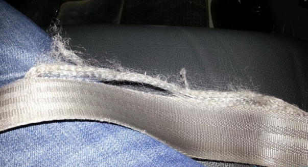 이미지를 클릭하세요