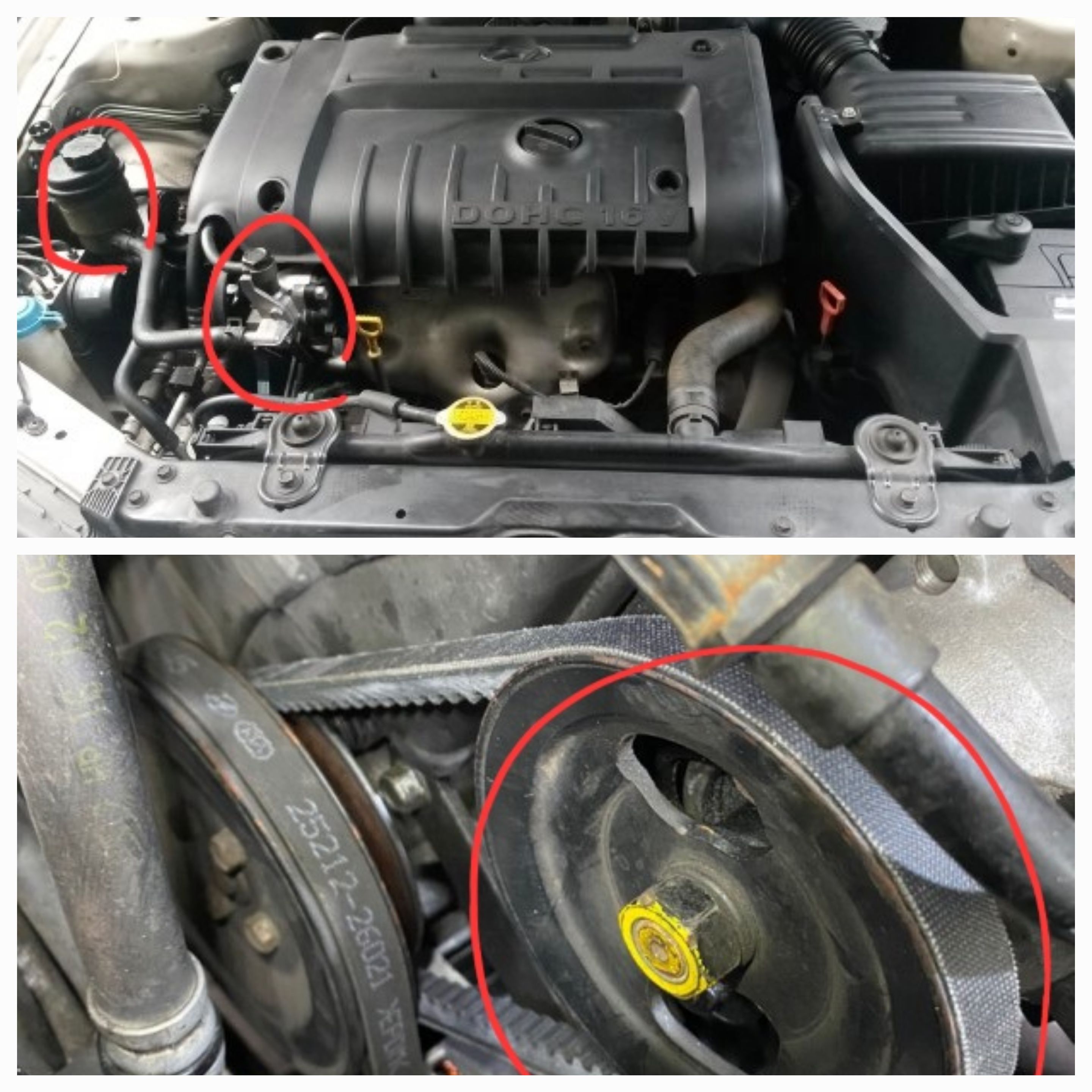 이미지를 클릭하세요