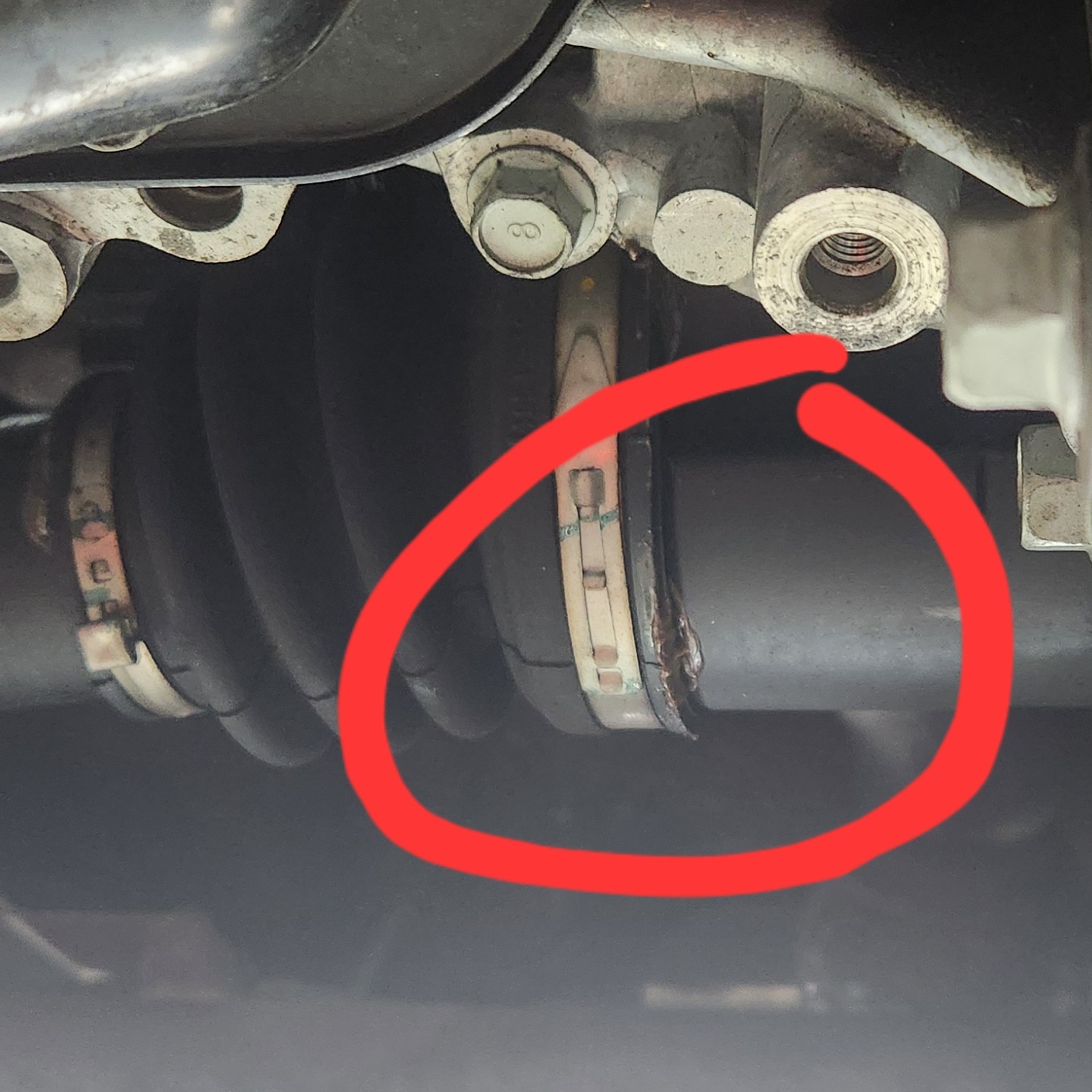 이미지를 클릭하세요