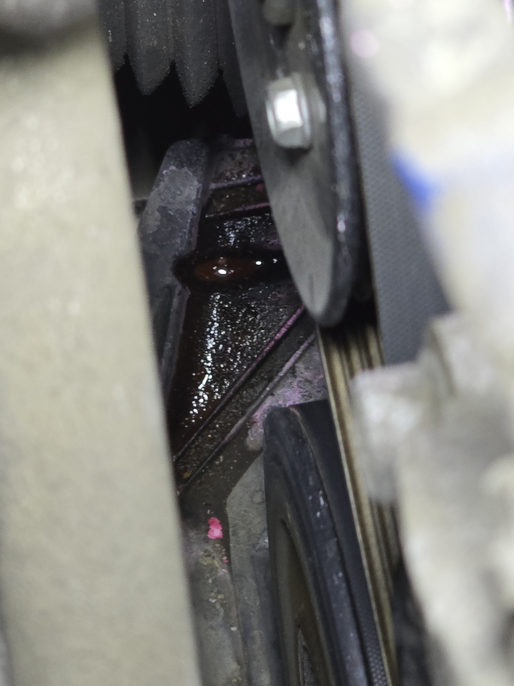 이미지를 클릭하세요